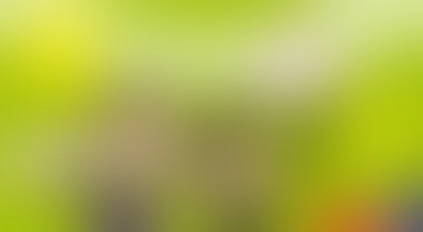 Том и Джерри и друзья