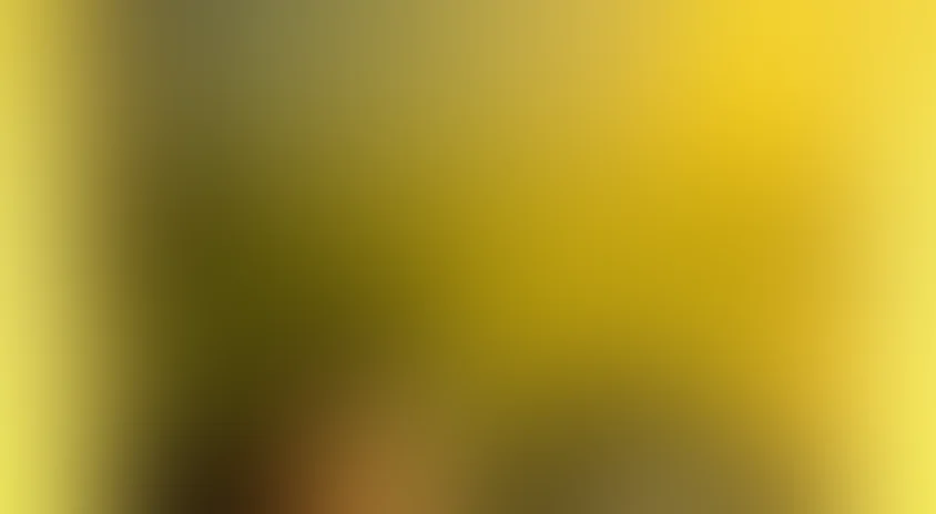 Будни и праздники Серафимы Глюкиной