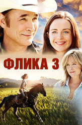 Флика 3