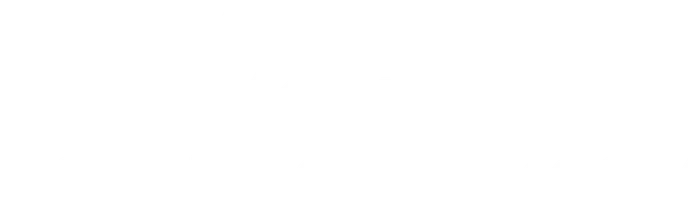 Между Богом и Элвисом (2012)