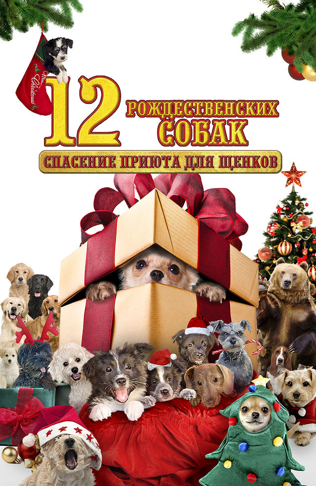 YouTube qattiq jinsiy aloqa