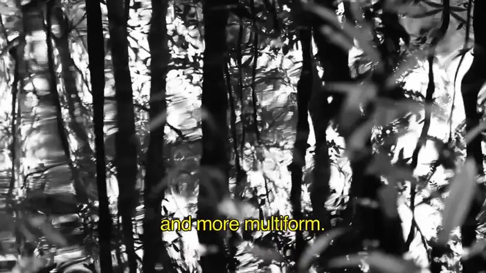 О фильме (английские субтитры)