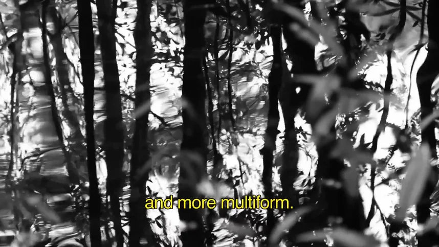 Объятия змея