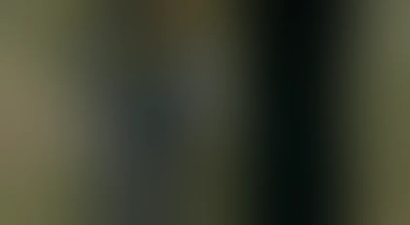 Гига, Ангел, Снежок и другие