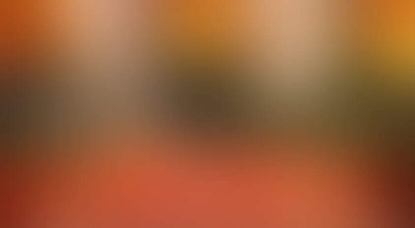 Дорогой мой человек (2011)