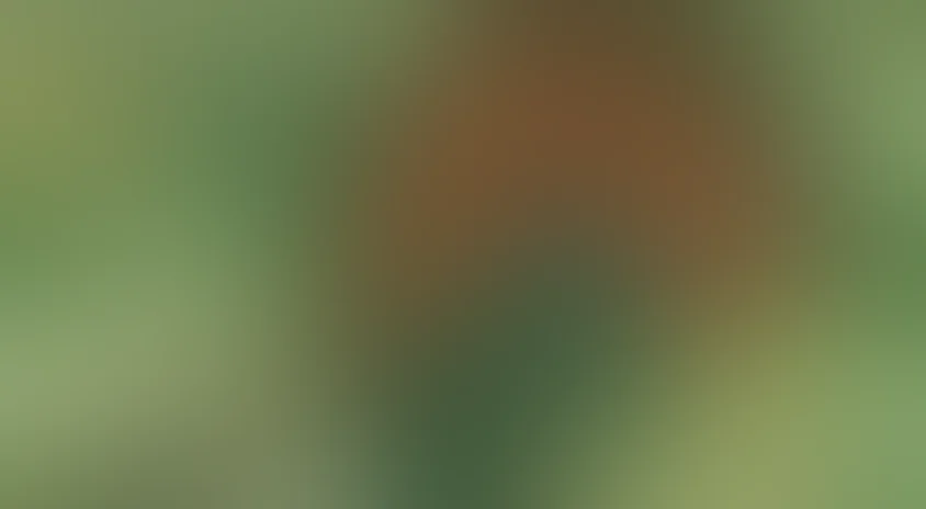 Осенние корабли