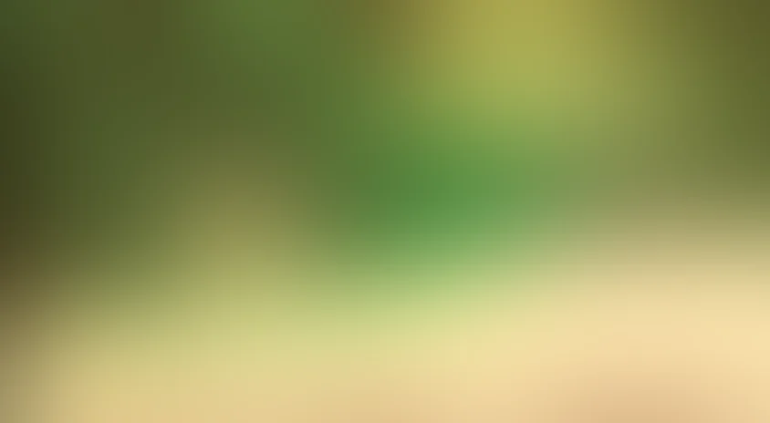 Сагын (на киргизском языке)