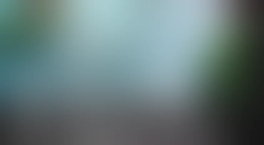 4 месяца, 3 недели и 2 дня