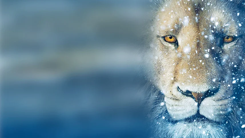 Хроники Нарнии: Покоритель Зари