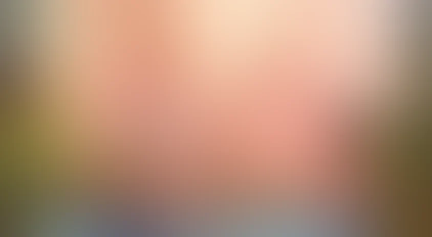 Ограбление века