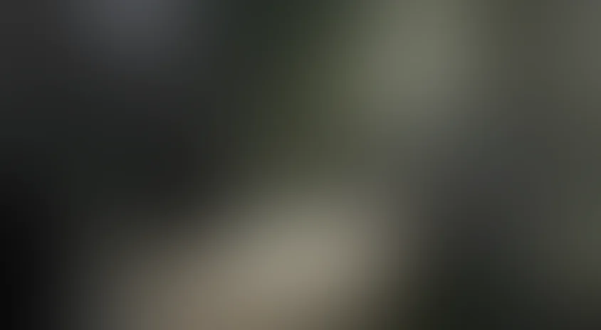 Рождественское чудо Джонатана Туми