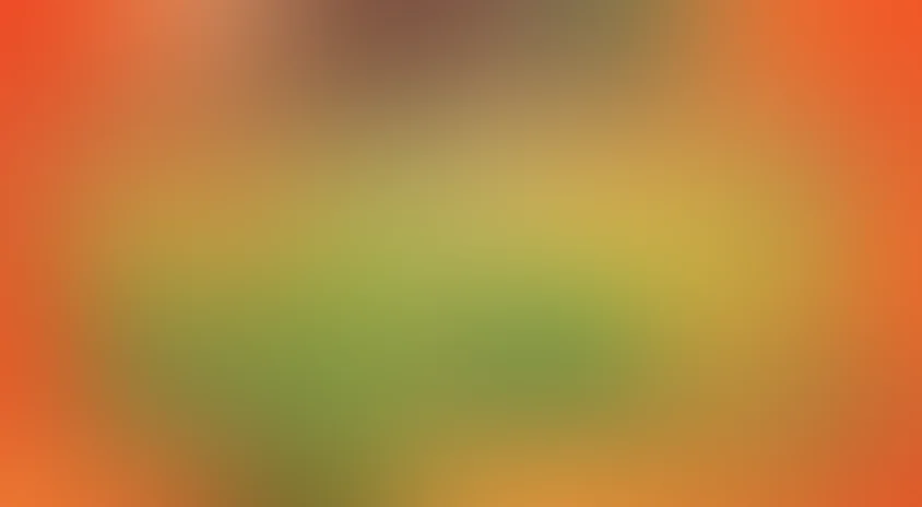 Агентство НЛС