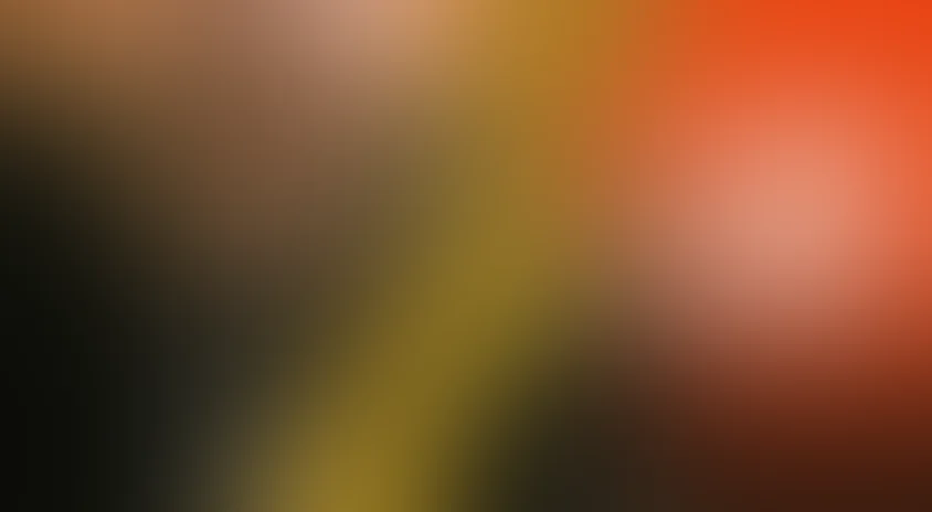 Агентство «Золотая пуля»