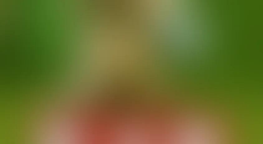 Как стать большим