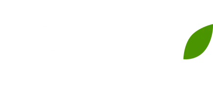 Последний из Магикян (сериал 2013)