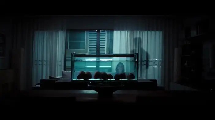 ТВ-ролик (русский язык)