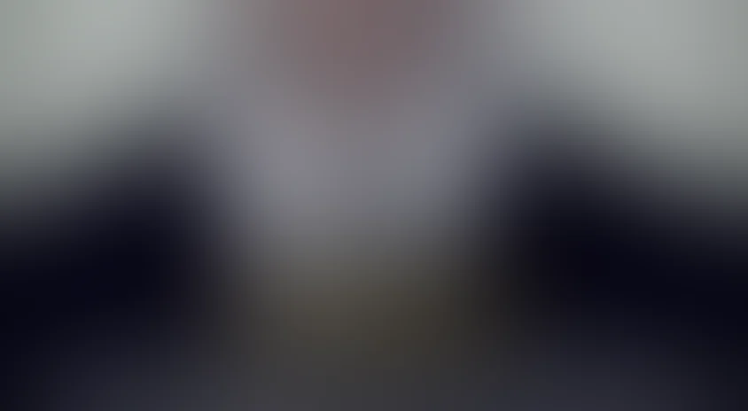 Агент Хамилтон: В интересах нации