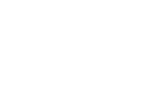 Банда «ЗИГ ЗАГ»