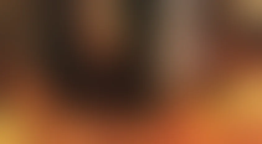 Лжесвидетельница