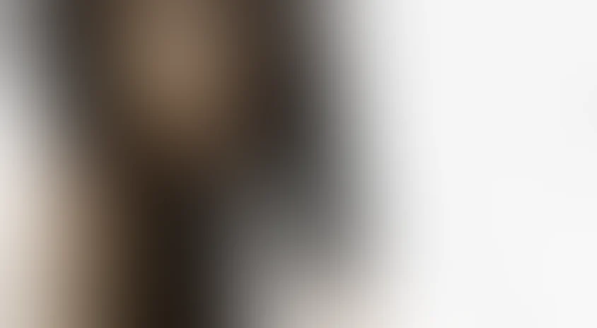 Побег из тюрьмы: Финальный побег