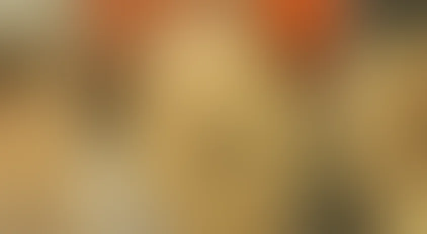 Тридцать три