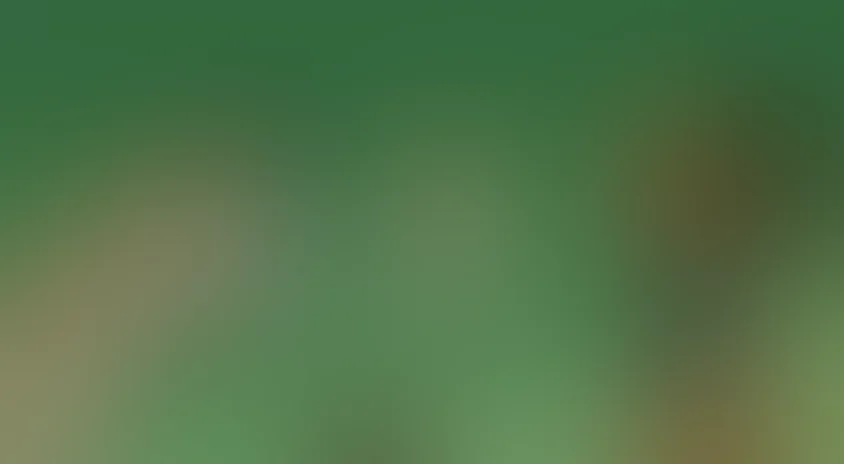 Необыкновенный матч