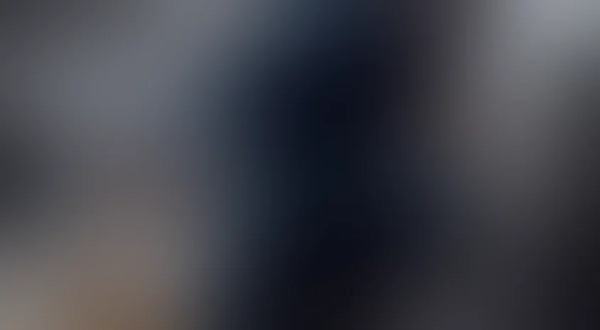 Бригада: Наследник