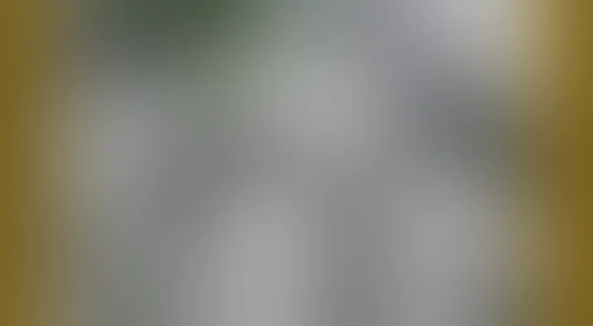 Сердца четырех