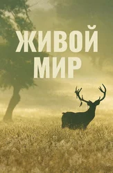 Живой мир