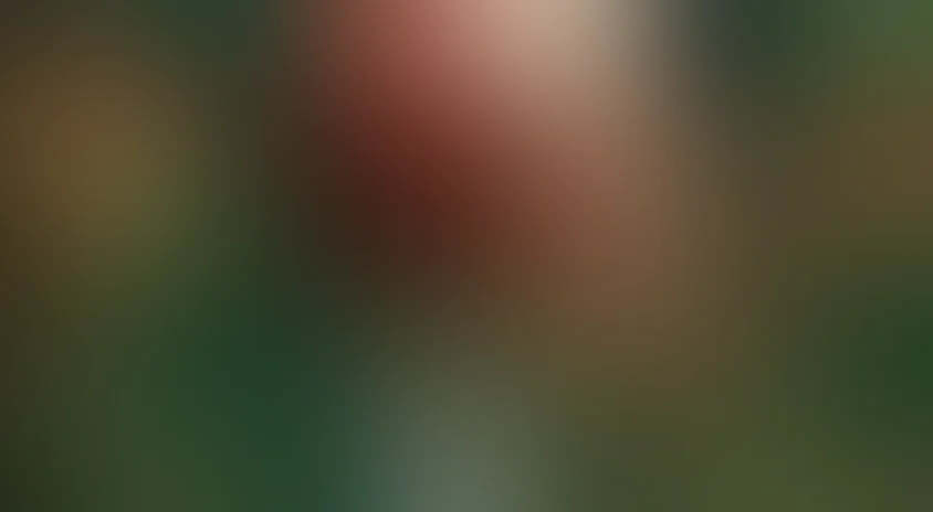 Алые паруса