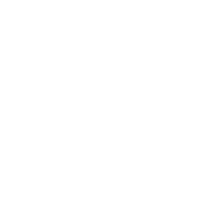 LEOMAX 24