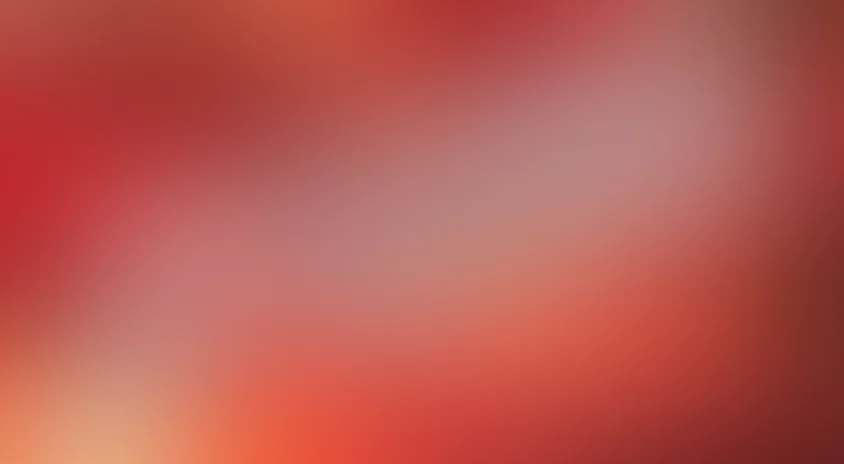 Пассажир без багажа