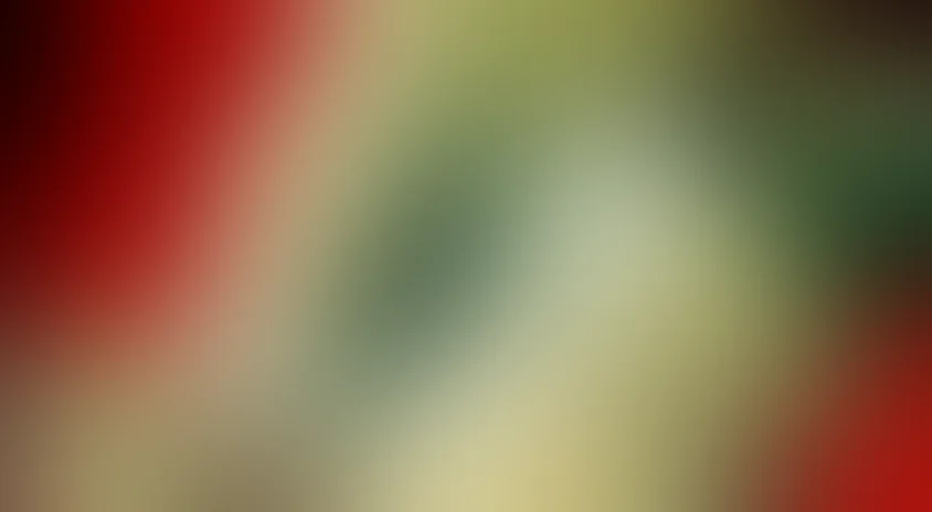 Они были первыми