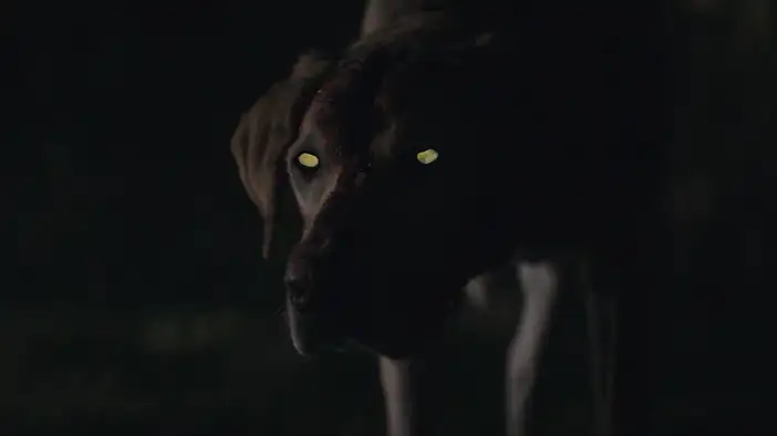 Трейлер (русский язык)