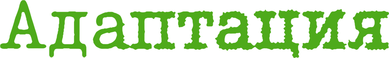 Фильм Адаптация.