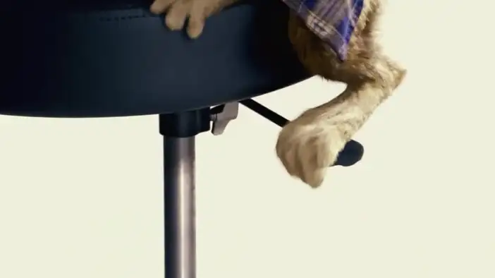 Тизер (английский язык)