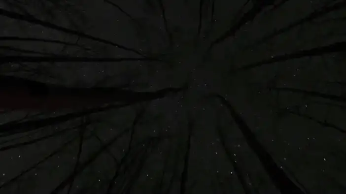 Трейлер (английский язык)