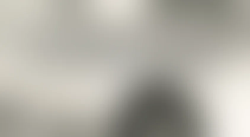 Спокойный день в конце войны