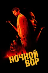 Ночной вор