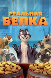 Реальная белка