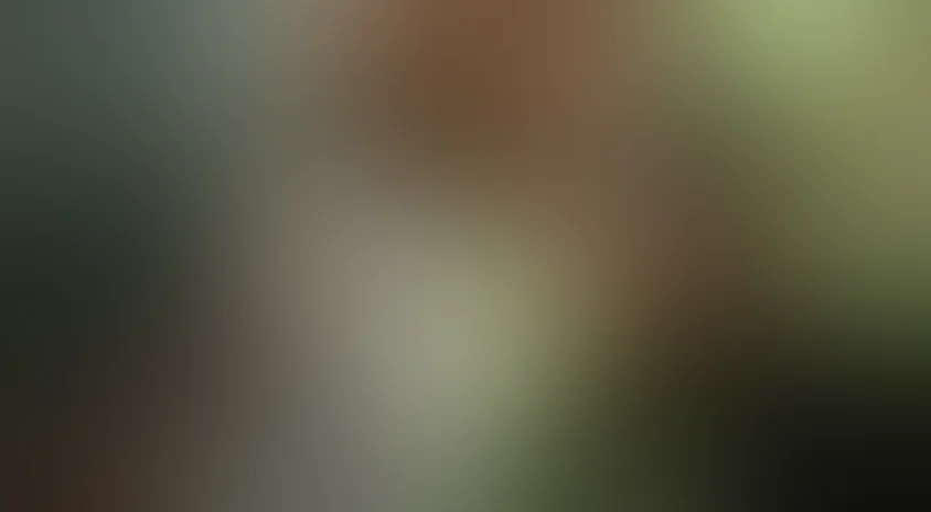 Следователь Протасов