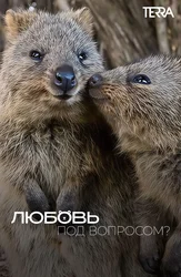 Любовь под вопросом?