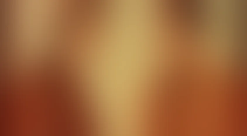 Последняя встреча