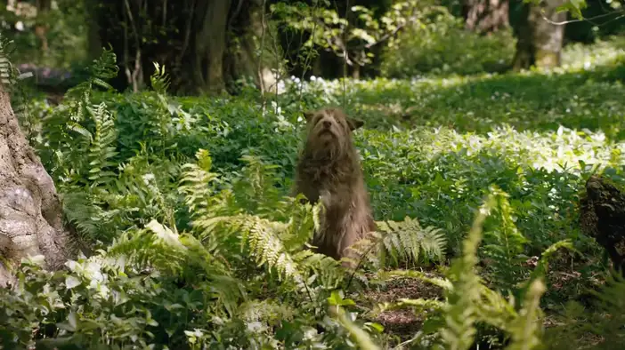 Тизер-трейлер (английский язык)