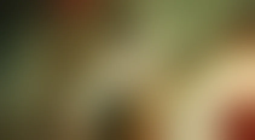 Восемь сотен