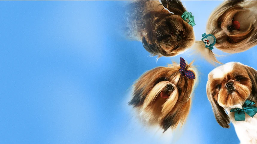 Псы под прикрытием. Миссия выполнима