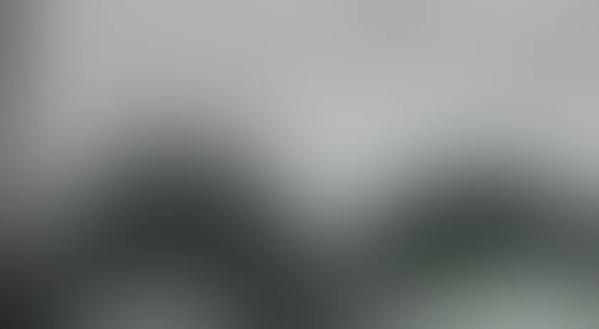 Впереди день