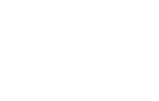 Гранит науки (2007)