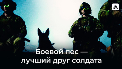 Постер Боевой пес: Лучший друг солдата