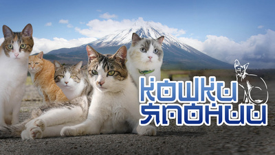 Постер Кошки Японии